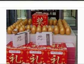 返点奖励